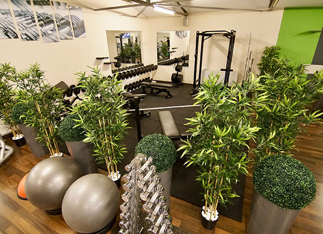 Fitnesstraining